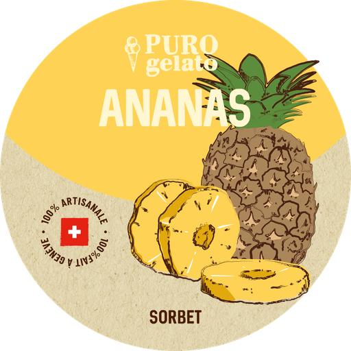Ananas 4x480ml. En gros.